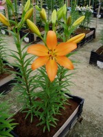 [1702 Eremo VH No02.JPG]